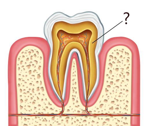 dentine