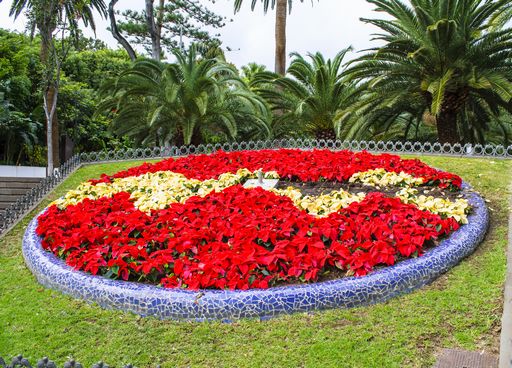 parterre de fleurs